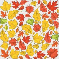 background fill texture of autumn red and yellow leaves on white background vector