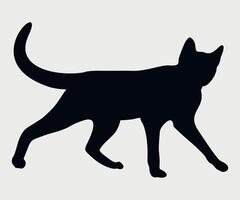 black cat icon on white background vector