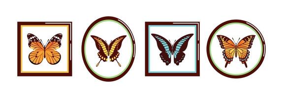 entomological collection of beautifully detailed butterflies displayed in elegant frames on a wall. for nature inspired designs, it adds sophistication and charm to any project vector