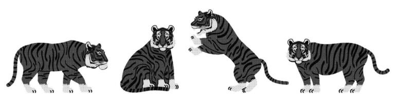 Vintage print featuring stylized tigers in newsprint style showcases four unique tiger poses that evoke a sense of nostalgia and artistic flair. vector