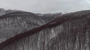 Aerial view of a scenic mountains covered with forests in wintertime video