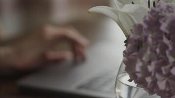 Rack focus from a hydrangea flower to a woman hand scrolling on a laptop computer touchpad video