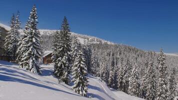Forest cabin covered in snow on a winter day in mountains video