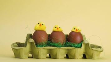 easter stop motion loading chicken in eggs animation time lapse video