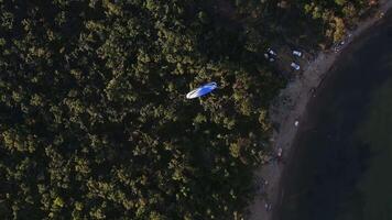 Aerial view of a paraglider with an engine flying by the coast of the sea video