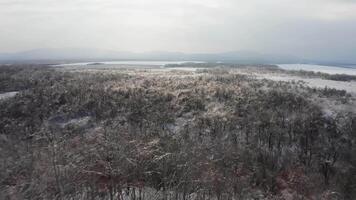 Close-up view from a drone to the ground covered with ice at sunset. video