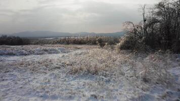 Close-up view from a drone to the ground covered with ice at the morning video