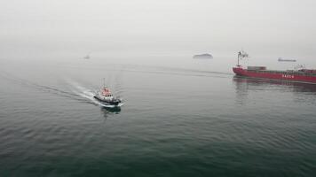 Drone view of the a pilot boat and multipurpose vessel Shantar in motion video
