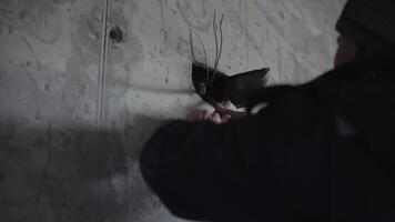 Electrician Installing Wires in Concrete Wal video