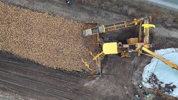 Aerial view of yellow harvester unloading sugar beets into a large storage pile on farmland, showcasing efficient crop collection and agricultural technology in a rural setting. video