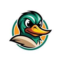 A green duck head with an orange beak vector