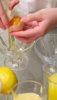separate whites from yolks of egg Pastry Hands cracks the egg in the corner of a small bowl, separates the yolk from the white, and then places the halved egg with the yolk inside in the egg carton. video