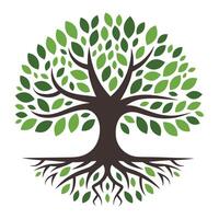 Green tree illustration featuring lush leaves and visible roots. Perfect for nature, ecology, and environmental concepts vector