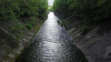 Drone view of an artificial canal in a green forest video