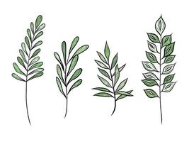 set with green branches with leaves. Hand drawn graphics, forest greenery, leaves and branches, plants and nature. Illustrations for design and decoration. vector