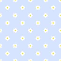 Seamless pattern of small daisies on a pastel blue background vector