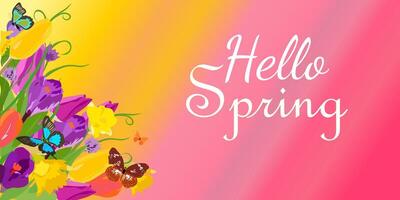 Spring banner with bright tulips, daffodils, flying butterflies and the words Hello Spring. vector