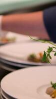 chef decorates with parsley leaves many identical portions of mushroom pate in molecular cuisine work with tweezers neat work video