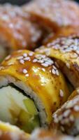 Sushi barco plato con clasificado Sushi rollos y sashimi video