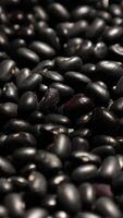 Black beans Texture, Vertical of black beans on black background video
