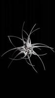 Abstract metal Spiky Motion Sphere,chrome 3d loop animation video