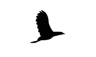 Flying African crake bird Silhouette vector