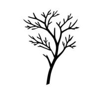 A black and white illustration of a tree with no leaves vector