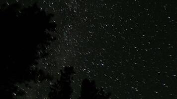 Bright meteors cross the milky way over a dark forest video