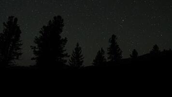 Night sky unveiling. stars emerging above dark forest silhouette video