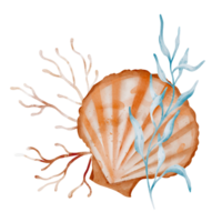Watercolor composition of Seashell and Seaweed. hand drawn illustration of Sea Shell and brown Algae on isolated background. Undersea element for design in marine vintage style. png