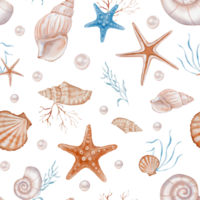 Seashell and Pearls Pattern on isolated background. Hand drawn vintage watercolor seamless ornament with Sea Shells and stars for wrapping paper or textile in nautical style. png