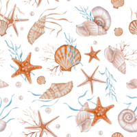 Seashell and Pearls Pattern on isolated background. Hand drawn vintage watercolor seamless ornament with Sea Shells and stars for wrapping paper or textile in nautical style. png