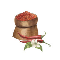 Red chilli pepper and flower lie on green leaves next to a bag filled with dried spice flakes. Watercolor illustration hand-drawn in botanical style in red brown green colors. For gastronomic design png