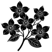 cluster petal blossoms-on-a-thin-branch vector