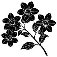 petal-blossoms on a thin branch vector