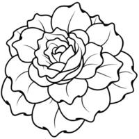 full ruffled-bloom-with-soft edges vector