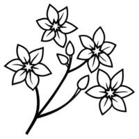 cluster of 5 petal-blossoms-on-a-thin-branch vector