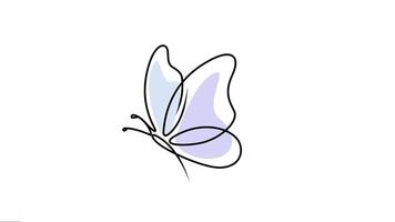 A butterfly is drawn in a simple line style video