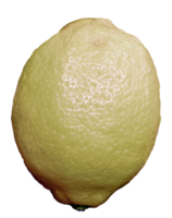 isolate lemon without background png