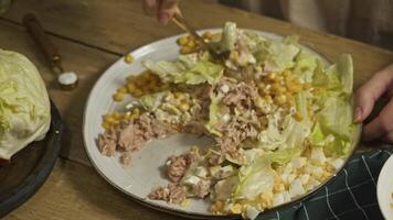 Vegetables, tuna and other seafood salad ingredients are combined with a white sour cream sauce made with mayonnaise using a spoon. video