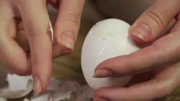 A close-up of a woman's hands, peeling a cooked white chicken egg out of its shell. video