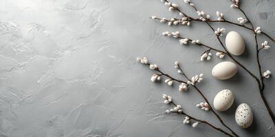 Decorative Easter eggs arranged with fluffy branches on a textured gray surface photo