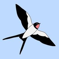 Barn swallow in flight on blue background. Cartoon simple flat illustration. vector