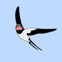 Barn Swallow with Long Tail and Sharp Wings on a blue background. Cartoon simple flat illustration. vector