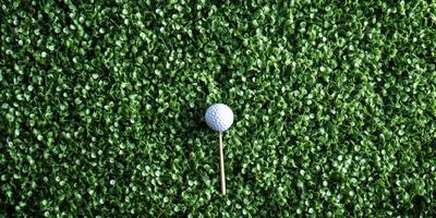 Golf ball resting on vibrant green turf in a serene outdoor setting during a sunny day photo