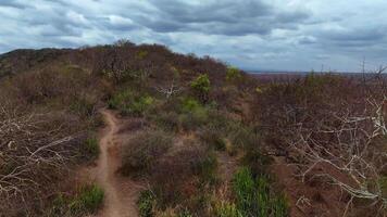 Dry Kenyan forest with scattered trees and cloudy sky, drone footage video