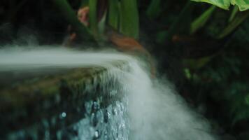 Artificial mist flowing over rocks in Cloud Forest Singapore video