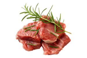 Raw meat with rosemary sprig on transparent background png