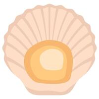 Illustration of a Scallop Shell vector