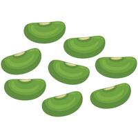 Illustration of Mung bean vector